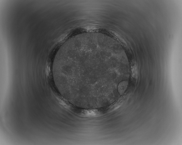 X0000116860618200912221140