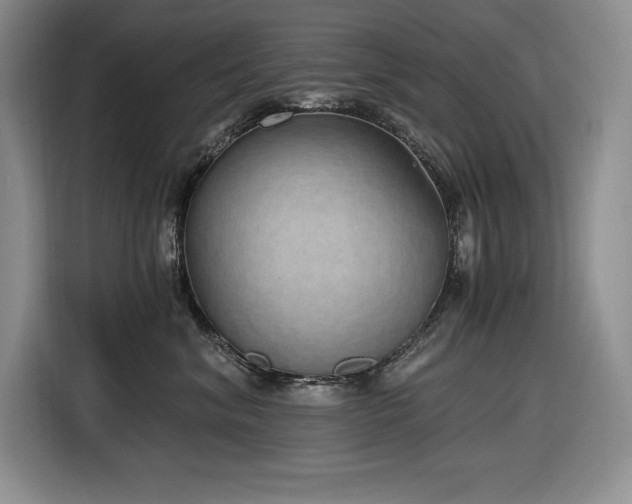 X0000116860620200912221140