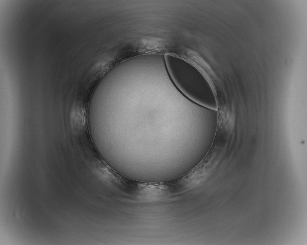 X0000116860621200912221140