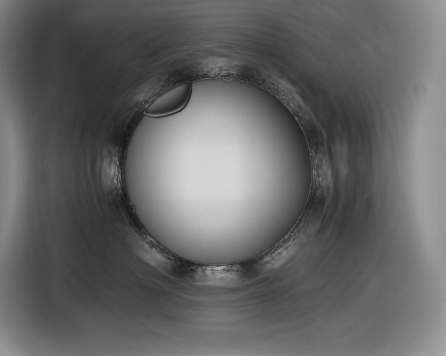 X0000116860622200912221140