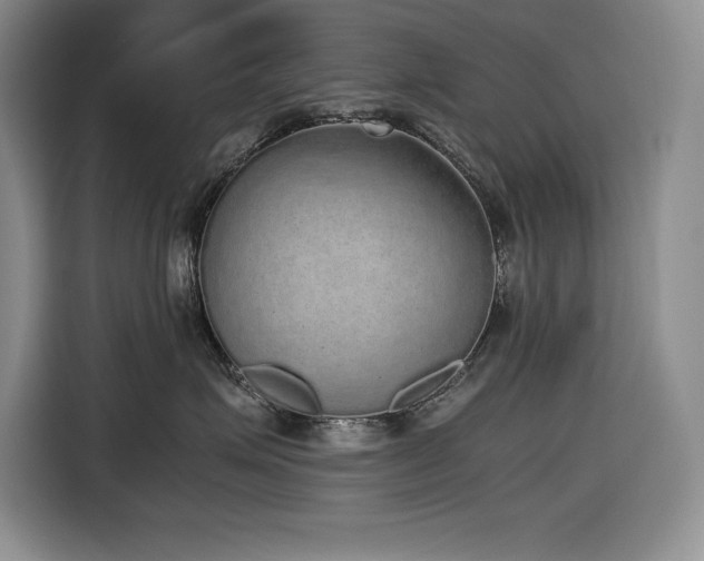 X0000116860623200912221140