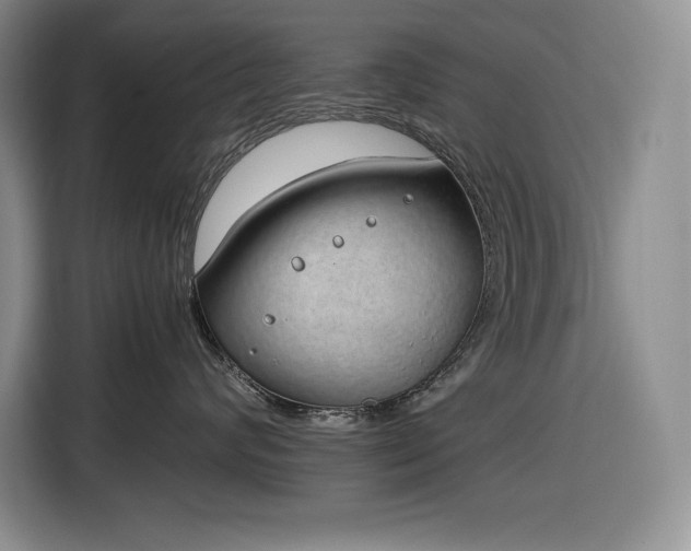 X0000116860624200912221140