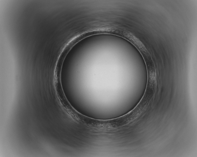 X0000116860628200912221139
