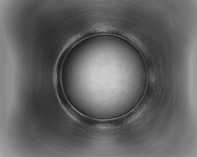 X0000116860630200912221139