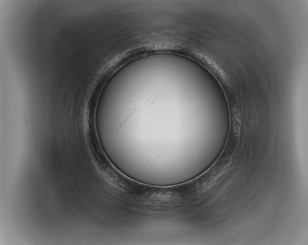 X0000116860631200912221139