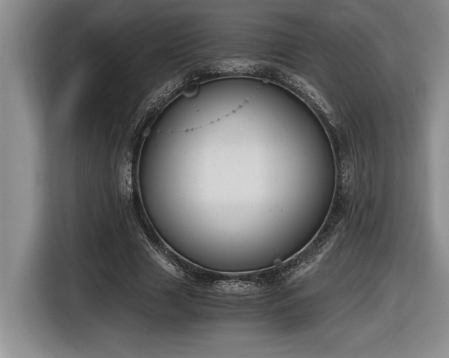 X0000116860633200912221139