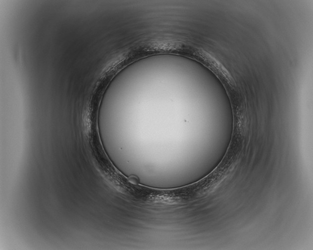 X0000116860635200912221139