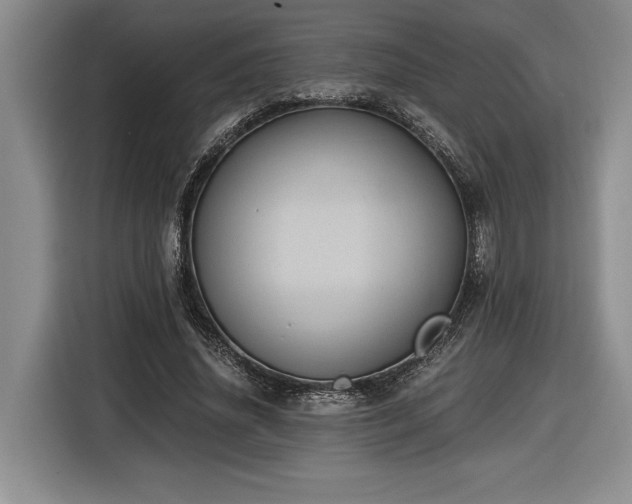 X0000116860636200912221139
