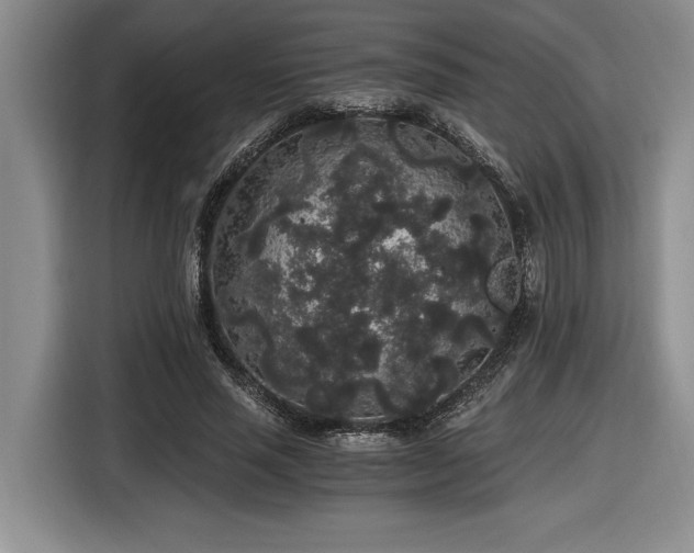 X0000116860637200912221139