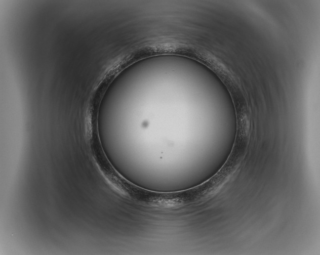 X0000116860638200912221139