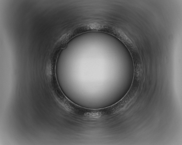 X0000116860639200912221139