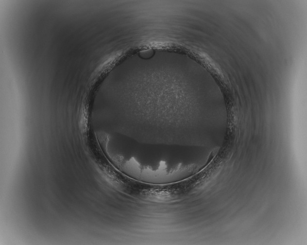 X0000116860640200912221139