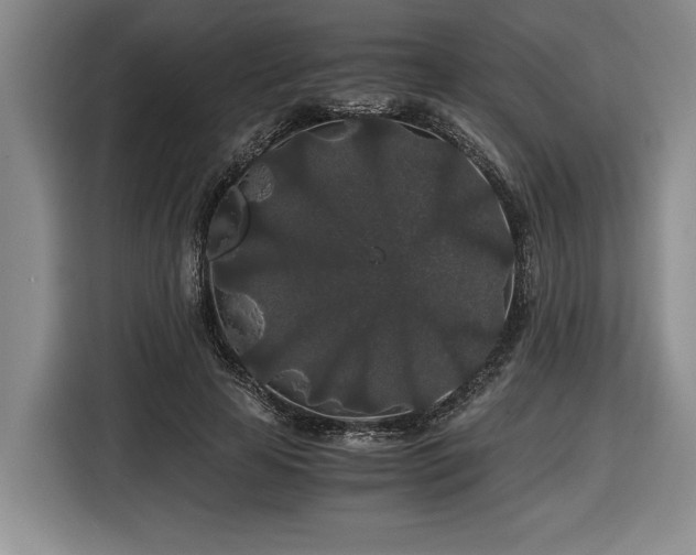 X0000116860641200912221139