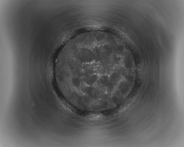 X0000116860642200912221139