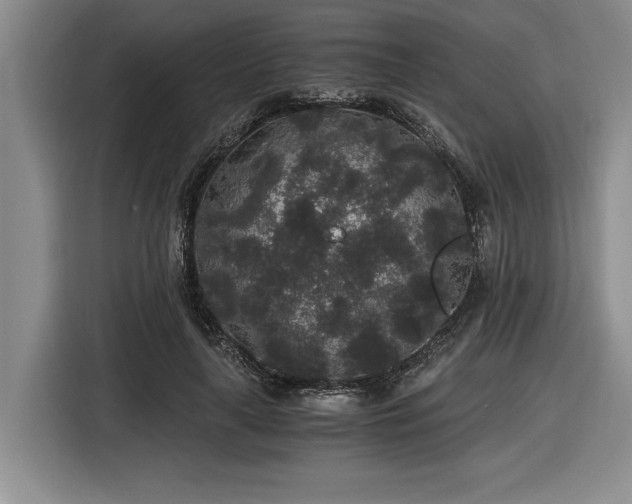 X0000116860643200912221139
