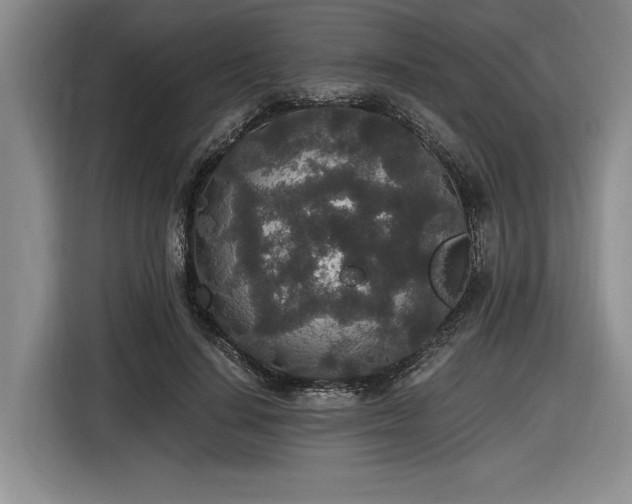 X0000116860644200912221139