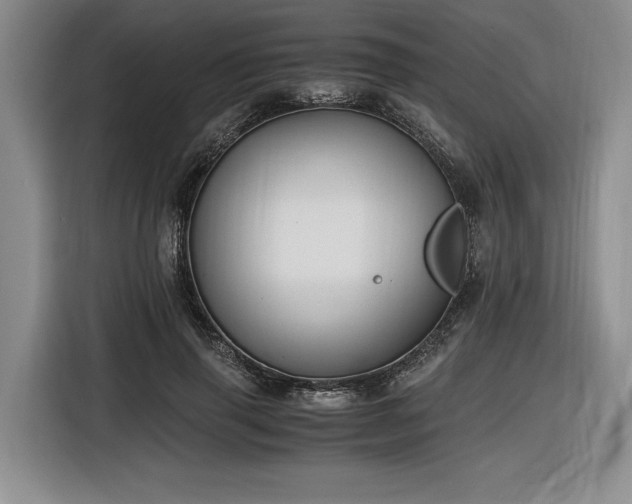 X0000116860645200912221139