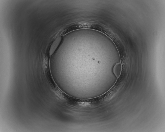 X0000116860649200912221139