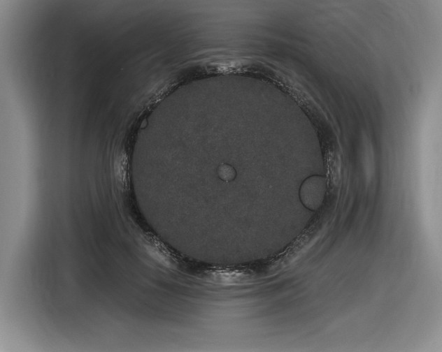 X0000116860650200912221139