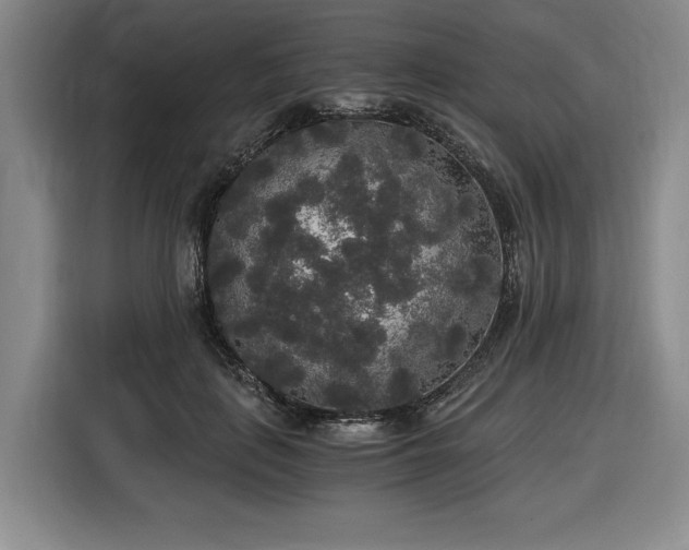 X0000116860651200912221139