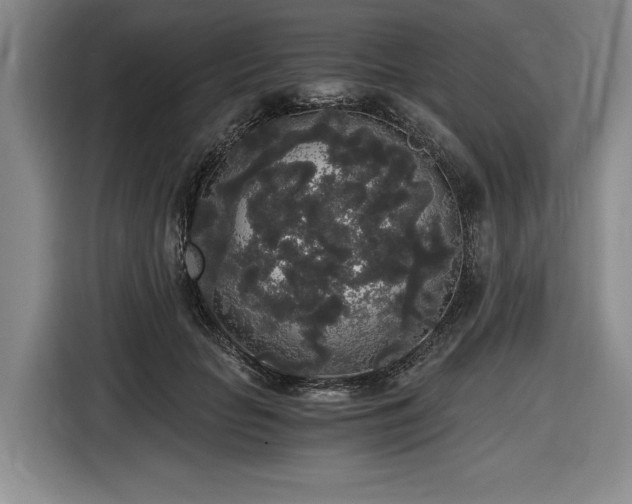 X0000116860653200912221139