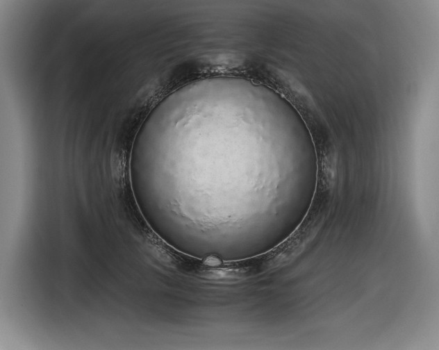 X0000116860657200912221139