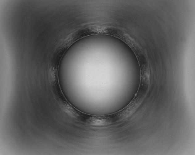 X0000116860658200912221139