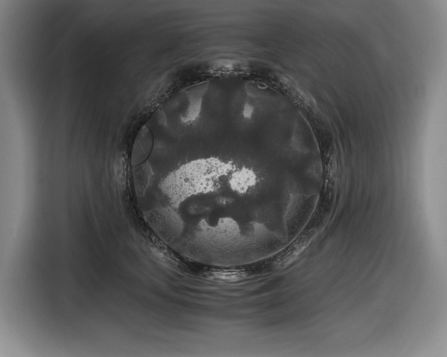 X0000116860659200912221139