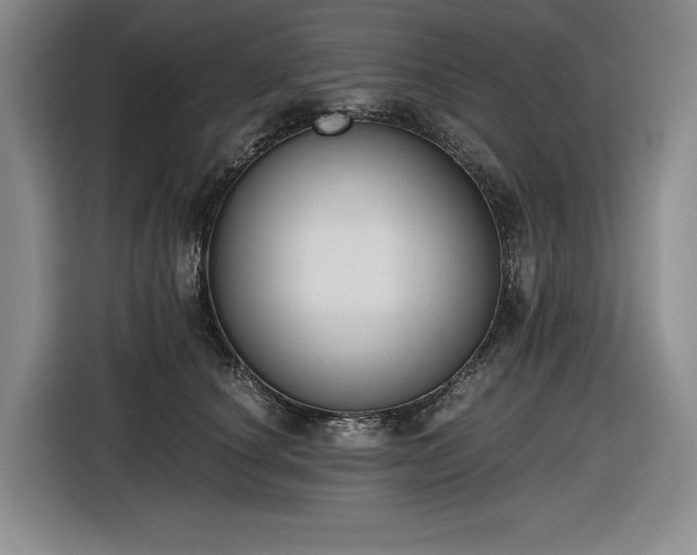 X0000116860660200912221139