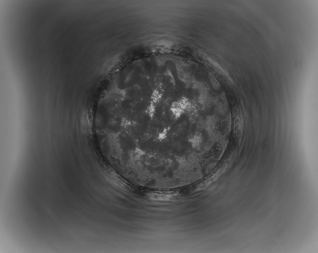 X0000116860661200912221139