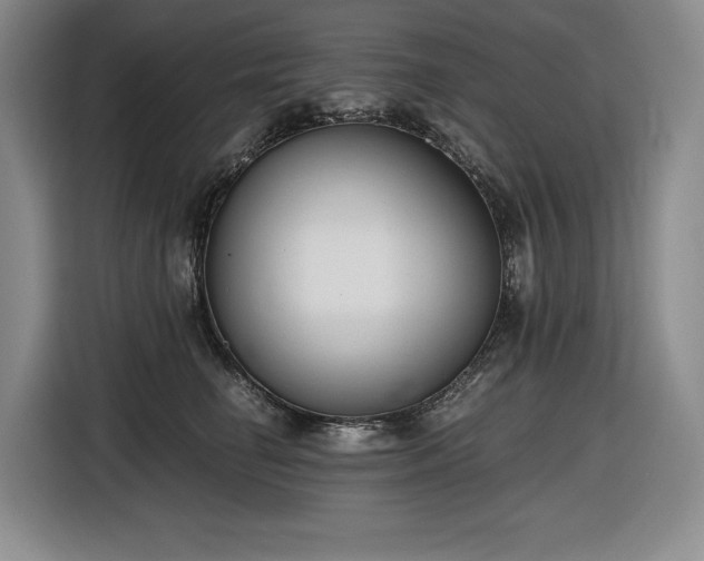 X0000116860662200912221139