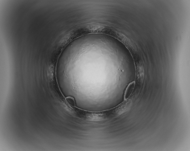 X0000116860664200912221139