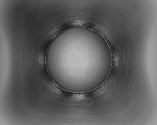 X0000116860665200912221139