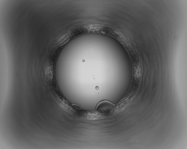 X0000116860666200912221140