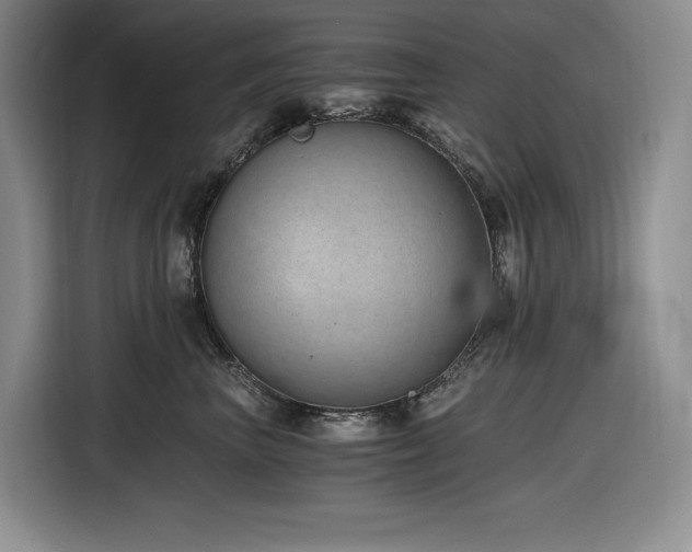 X0000116860667200912221140