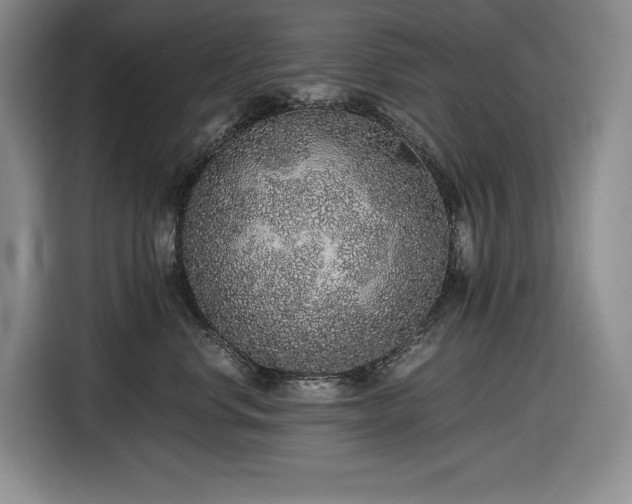 X0000116860668200912221140