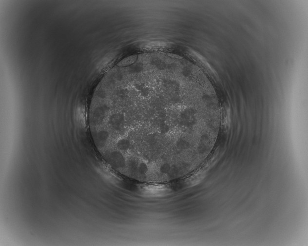 X0000116860669200912221140