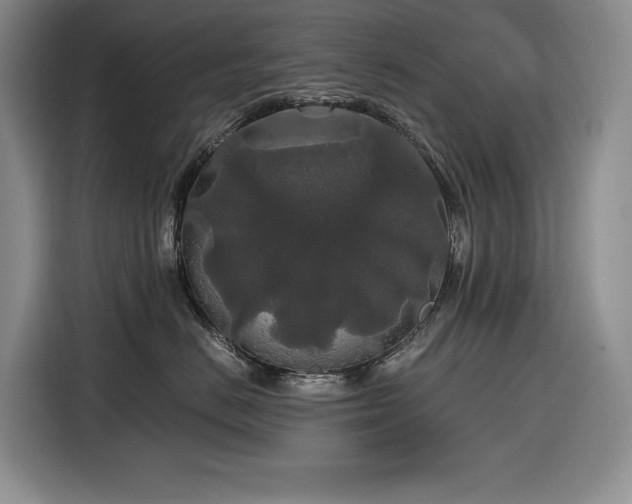 X0000116860670200912221140