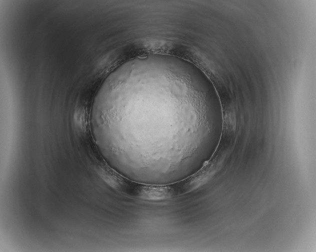 X0000116860671200912221140