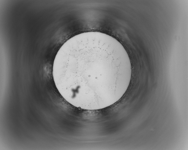X0000116860672200912221140