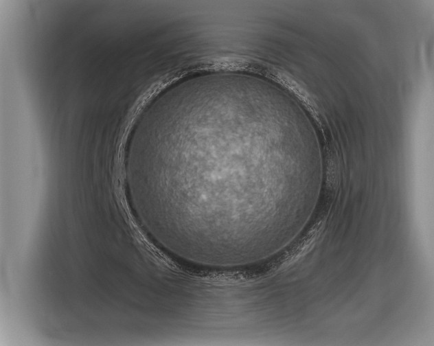 X0000116860673200912221139