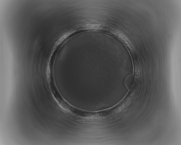 X0000116860674200912221139