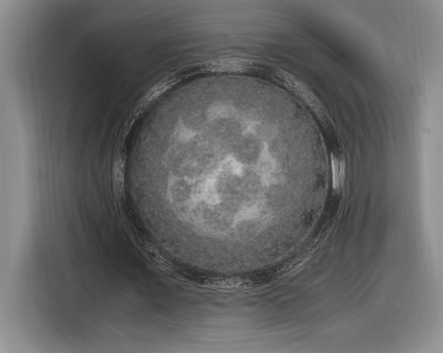 X0000116860675200912221139