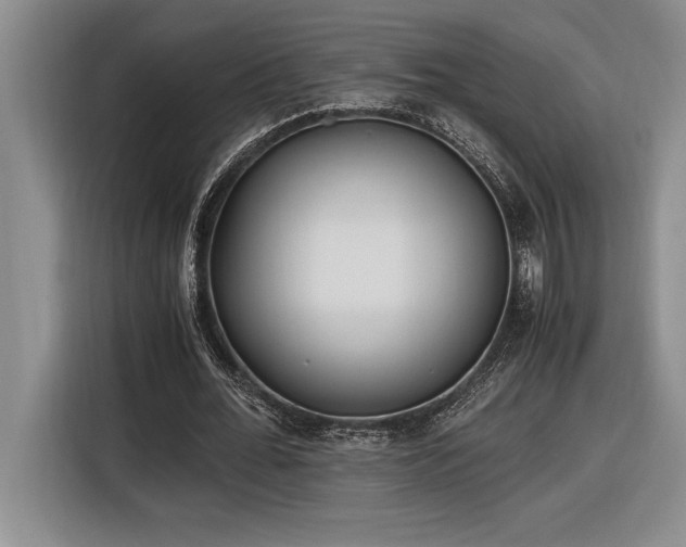 X0000116860676200912221139