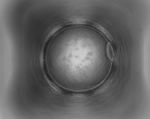 X0000116860677200912221139