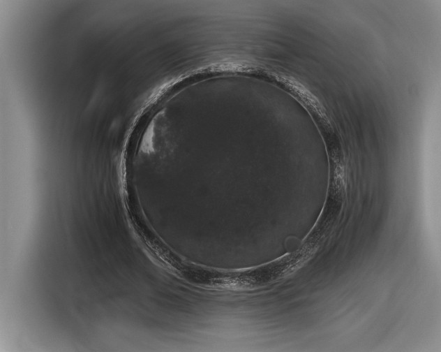 X0000116860678200912221139