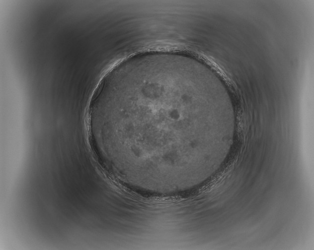 X0000116860679200912221139
