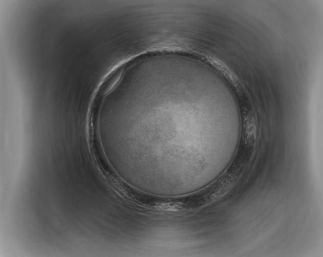 X0000116860680200912221139
