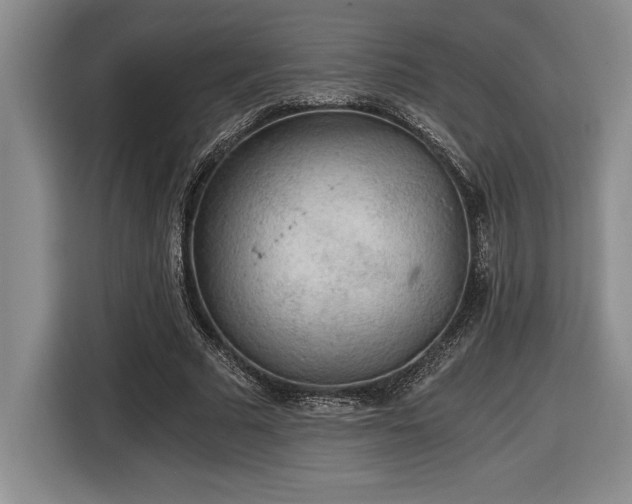 X0000116860681200912221139