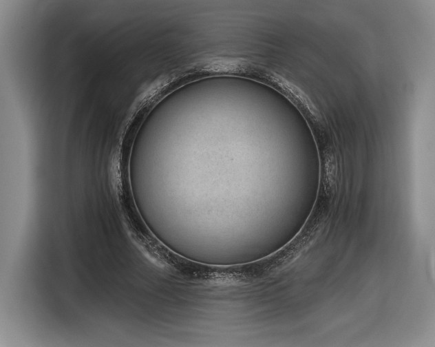 X0000116860682200912221139